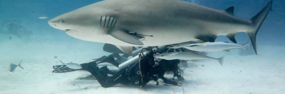 Deep Dive Mexico