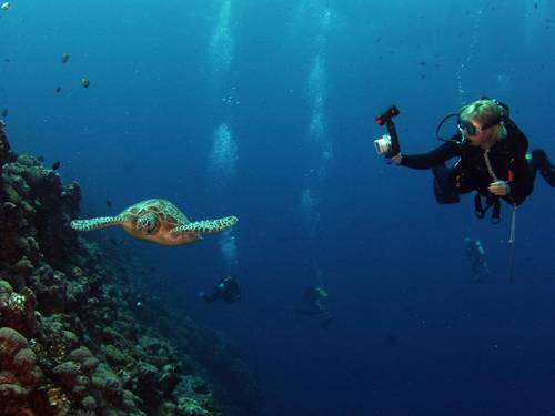 Manado Dive Club