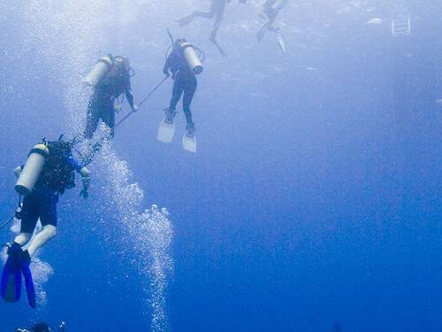 Tenggol Coral Dive Resort