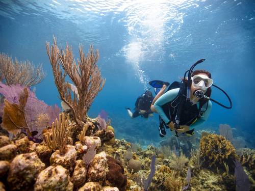 Dive Grenada