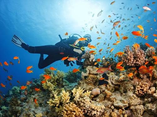 Calico Jacks Ocean Adventures