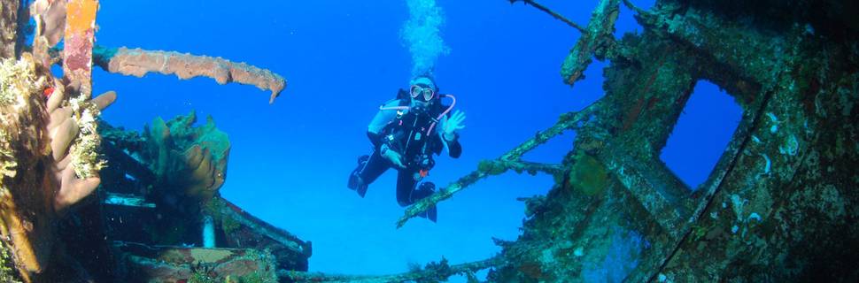 5 Star Divers