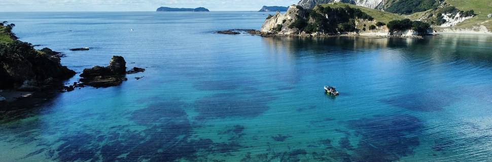 Dive Zone Whitianga