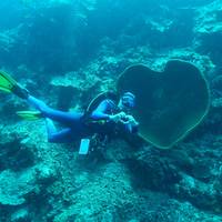 Dive Centre Dessa