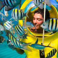 Scuba Doo