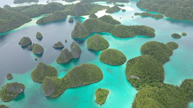 Olin Dive Center Raja Ampat