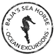 Baja's Seahorse