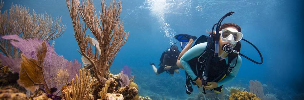Dive Grenada
