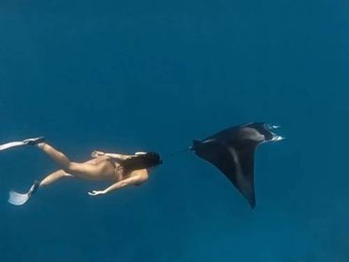 Sea Monkey Maldives