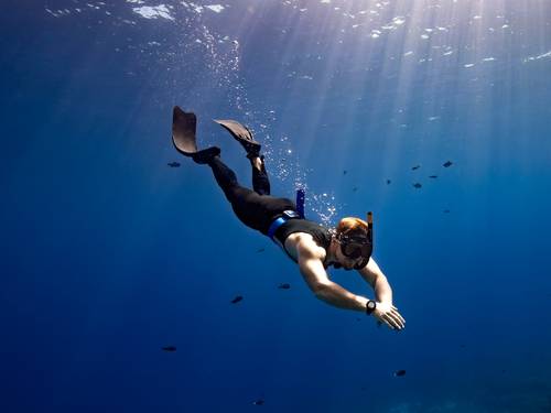 Squalodivers