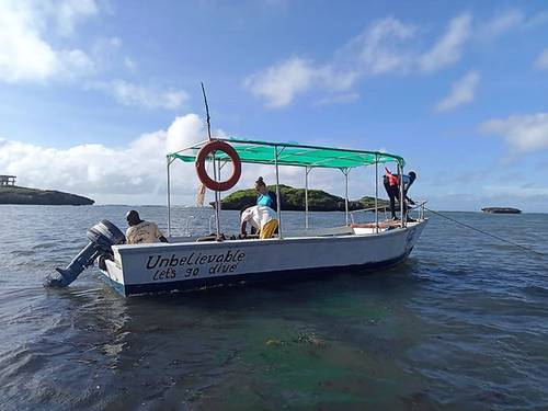 Black Marlin diving center