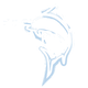 Blue Marlin Dive Komodo
