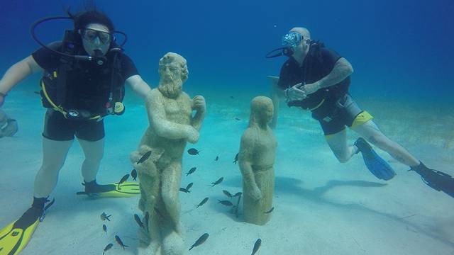 Olympian divers