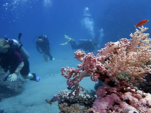 Cave Divers CWR Soma Bay