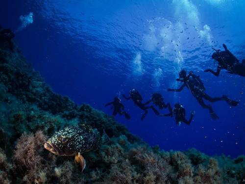 I Sette Mari Tech Dive