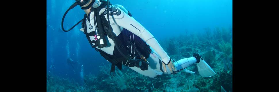 School of Fish Swim and Scuba Inc.