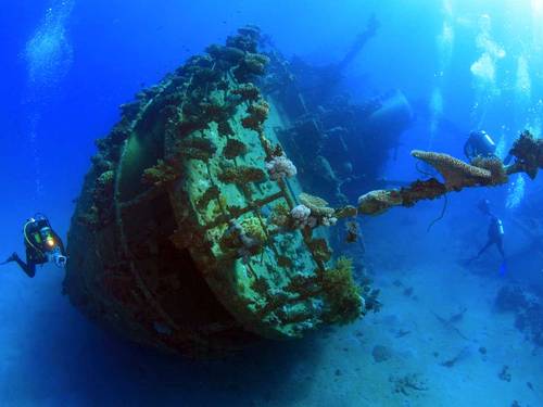 Aqua Dive Paradise