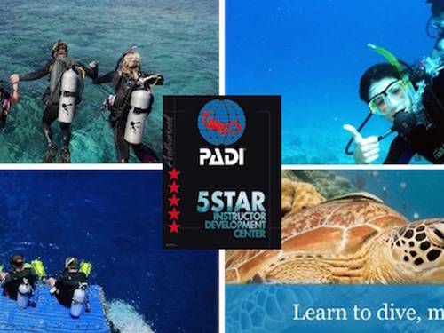 4Sub PADI Five Star Instructor Development Dive Resort