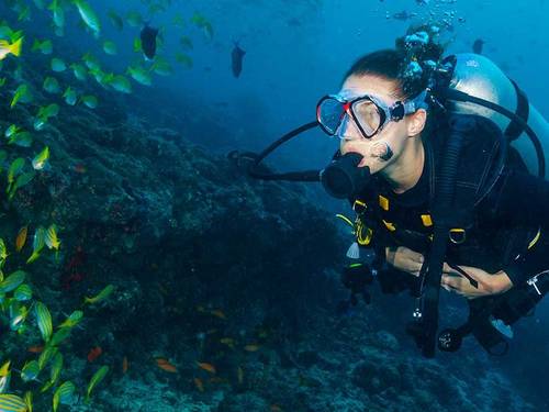 Dive and Dive