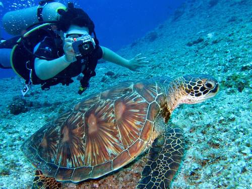 Nakai Dhiggiri Diving Center