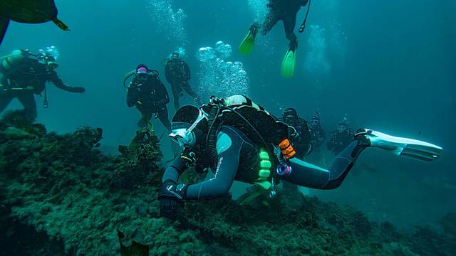 Dive Action