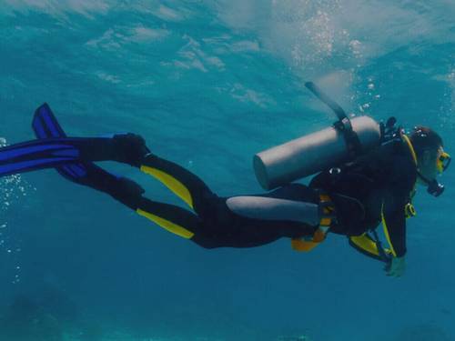 Zanzibar Dive