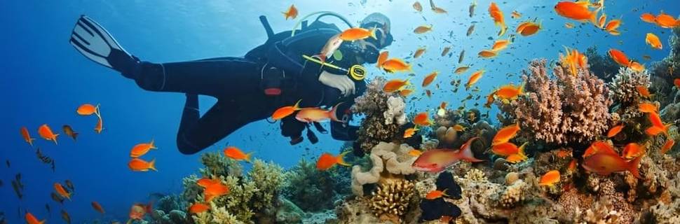 Calico Jacks Ocean Adventures