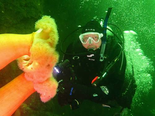 Sundown Diving