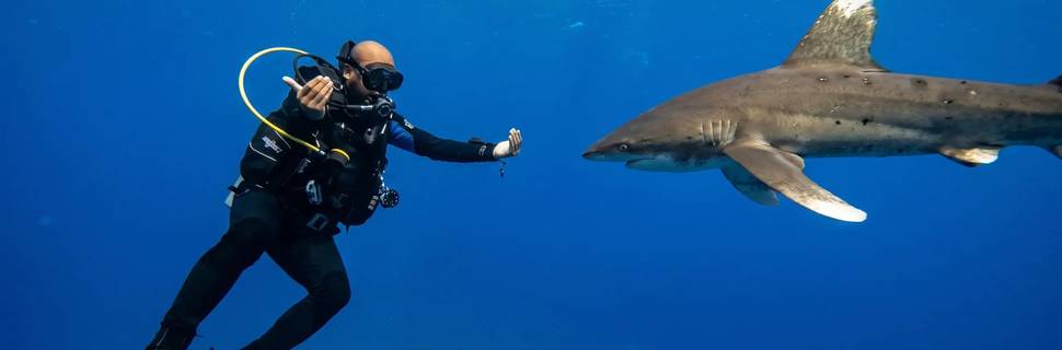 Marsa Alam Diving Center | Deep south-divers PADI & SDI