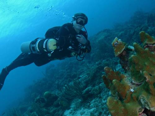 Diversified Diver Specialties