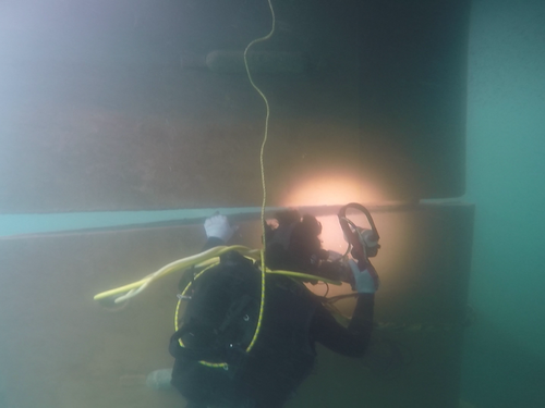 NEEL DIVING