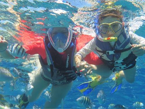 SeaPro Divers