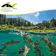Alpenaquarium Grüblsee