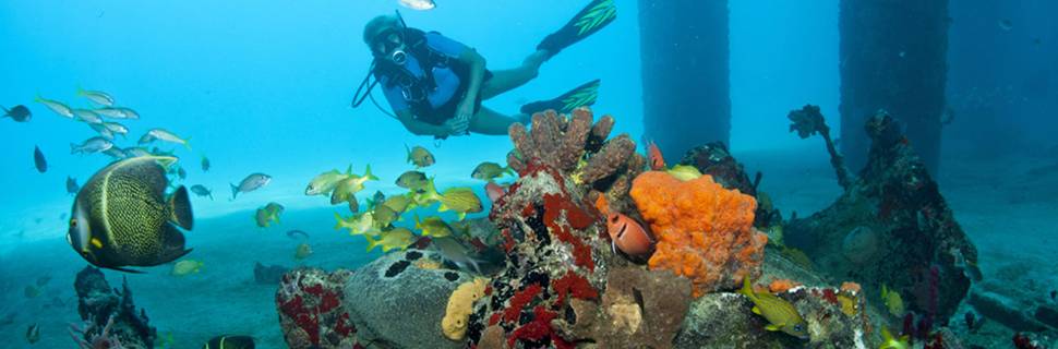 Cane Bay Dive Shop, Inc.