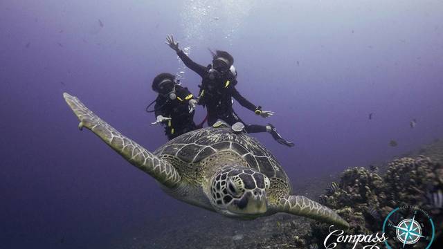 Compass Divers