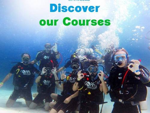 Coral Diving Club