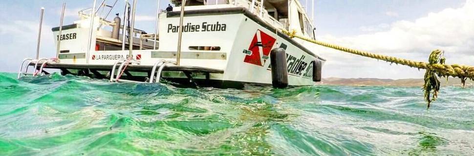 Paradise Scuba