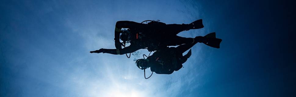 Dive D Compass