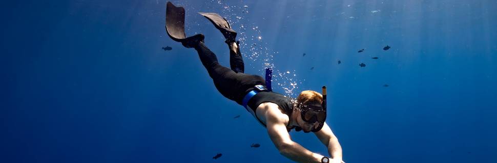 Squalodivers