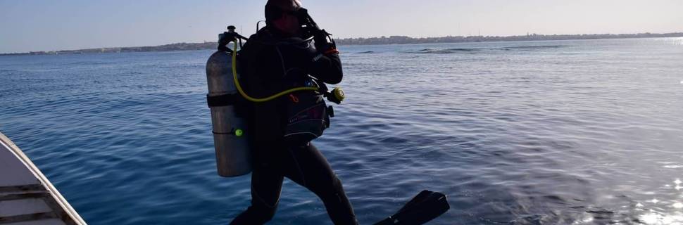 Dive Pro Academy