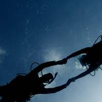 Seashell Divers - Koh Tao