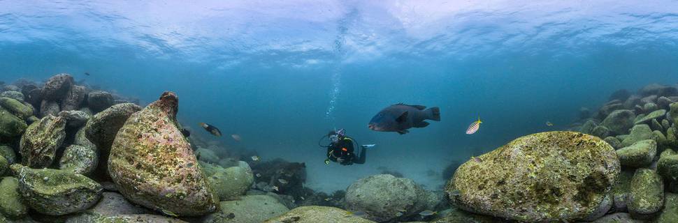 Dive Centre Manly