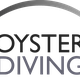Oyster Luxury Travel & Diving