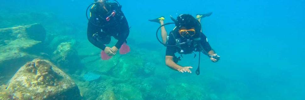 Pearl Divers PADI Dive Center Trincomalee