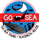 Go Sea Tours