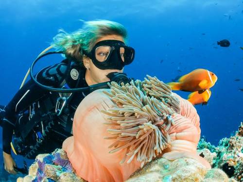 nusapenidadivecenter