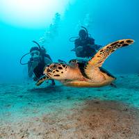 Alghais Diving Center
