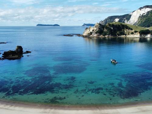 Dive Zone Whitianga