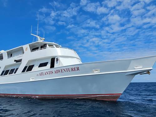 Atlantis Dive Resorts and Liveaboard - Dumaguete