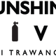 Sunshine Dive